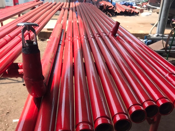 Pre Action Double interlock